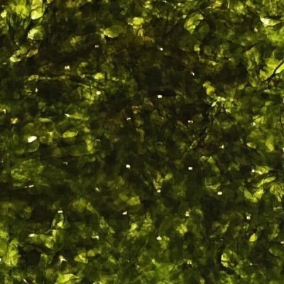 画像5: スッポリ包めて噛み切れるしっとり海苔の直巻きおにぎり用 焼海苔 半切15枚入×1袋