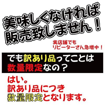 画像2: 自家用専用 人にあげたくないほど美味しい江戸前 漁師さんの初摘み海苔 全形10枚入×1帖