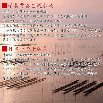 画像5: \我が家はおにぎり屋さん♪/ 有明産 おにぎり用 焼海苔 三切100食