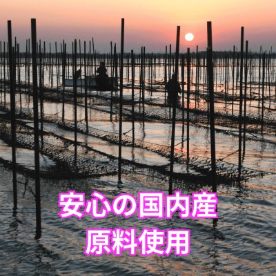 画像6: 【数量限定】パリッサクっ！国内産 訳あり 規格外 焼海苔 きずのり 全形20枚入