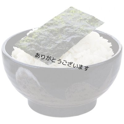 画像20: 【数量限定】パリッサクっ！ 国内産 訳あり 規格外 焼海苔 きずのり 全形50枚入