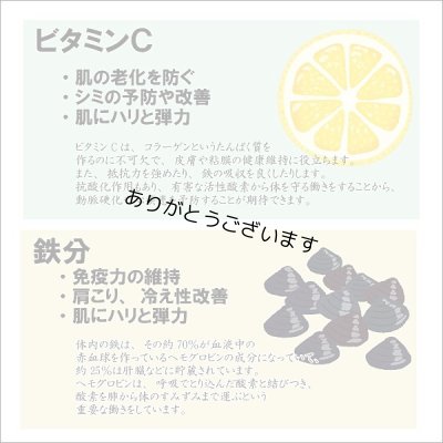 画像12: 香雅味 黒 焼海苔 江戸前ちば海苔 全形10枚入×1帖