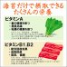 画像7: 江戸前 ちば海苔 香雅味 紫 10帖箱入