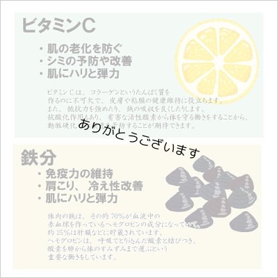 画像10: 令和6海苔年度 青混ぜ 焼海苔 江戸前ちば海苔 全形10枚入×10帖箱入包装済み