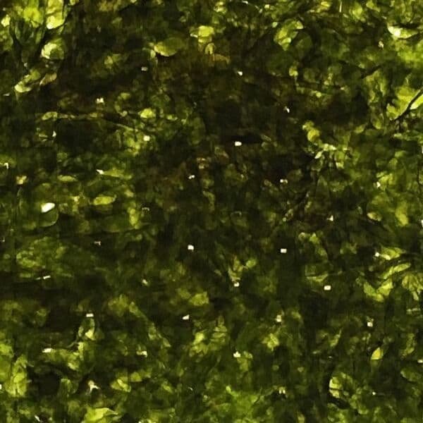 画像5: スッポリ包めて噛み切れるしっとり海苔の直巻きおにぎり用 焼海苔 半切15枚入×2袋 (5)