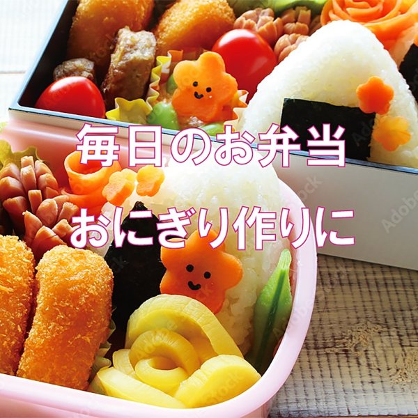 画像8: 【数量限定】パリッサクっ! 国内産 訳あり 規格外 焼海苔 きずのり 全形50枚入 (8)