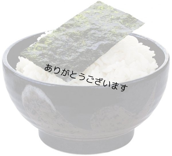 画像19: 【数量限定】パリッサクっ！国内産 訳あり 規格外 焼海苔 きずのり 全形20枚入 (19)