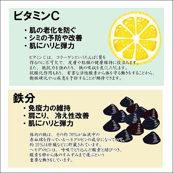 画像12: 香雅味 黒 焼海苔 江戸前ちば海苔 全形10枚入×5帖 (12)
