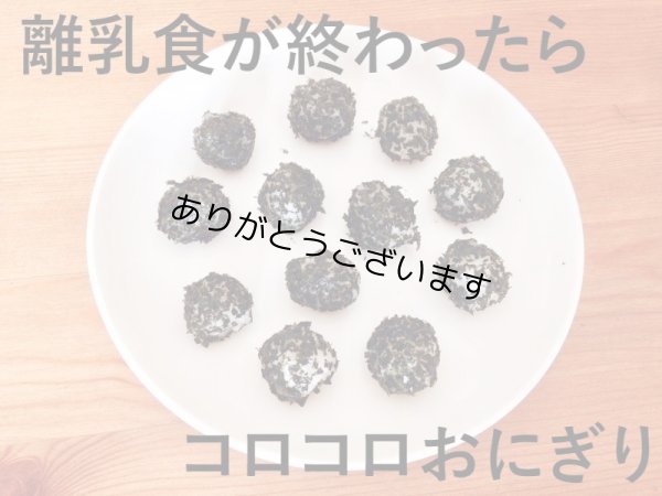 画像15: 【おとな専用】 ふりかける 焼のり ノリッパ NORIPPA 20g (15)