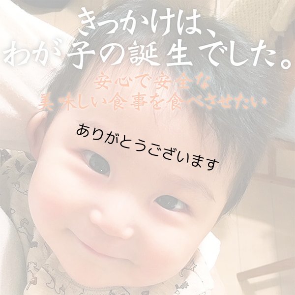 画像6: 【おとな専用】 ふりかける 焼のり ノリッパ NORIPPA 20g (6)