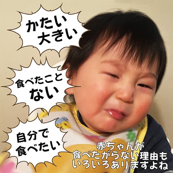 画像4: 【おとな専用】 ふりかける 焼のり ノリッパ NORIPPA 20ｇ (4)