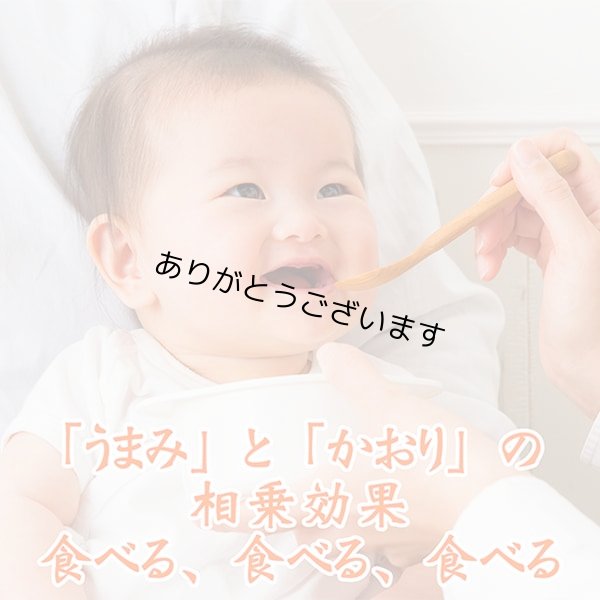 画像12: 【おとな専用】 ふりかける 焼のり ノリッパ NORIPPA 20g (12)