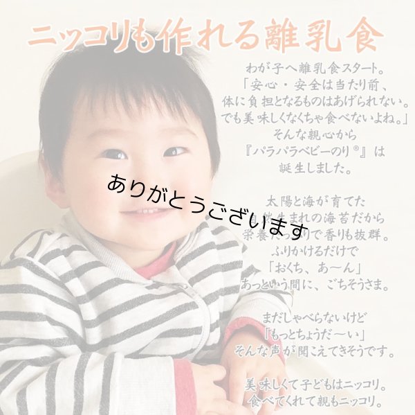 画像21: 【おとな専用】 ふりかける 焼のり ノリッパ NORIPPA 20g (21)